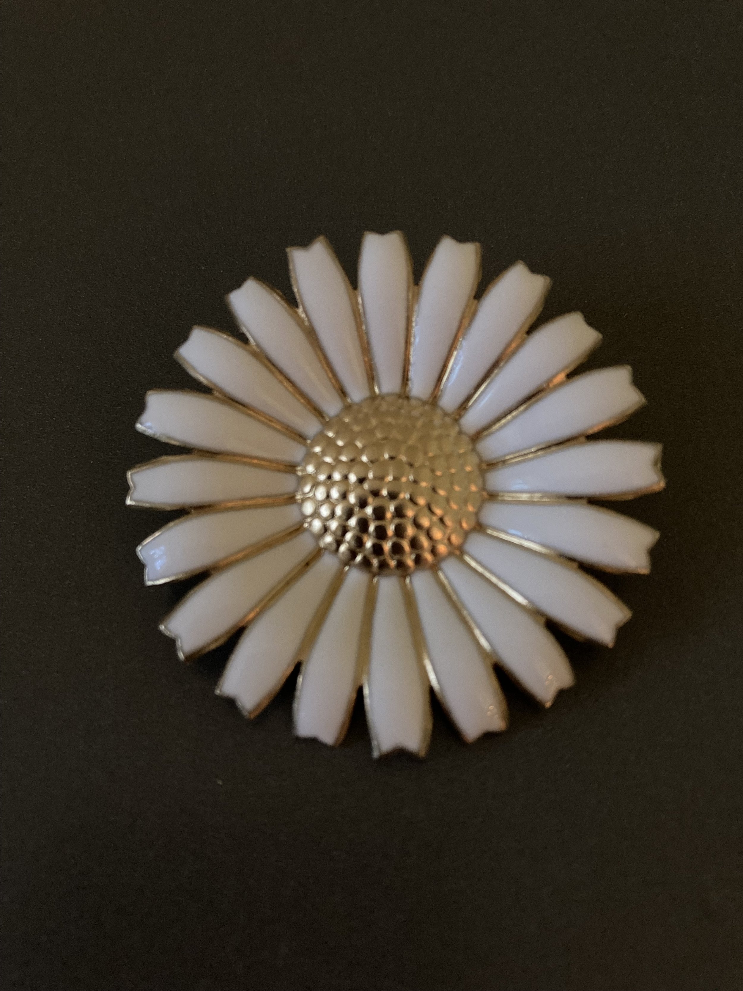 AM Daisy brooch 1.jpg
