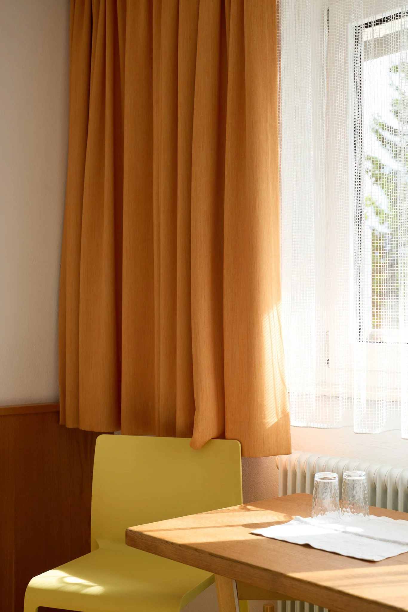 Marigold_06_25_ZT2_S.jpg