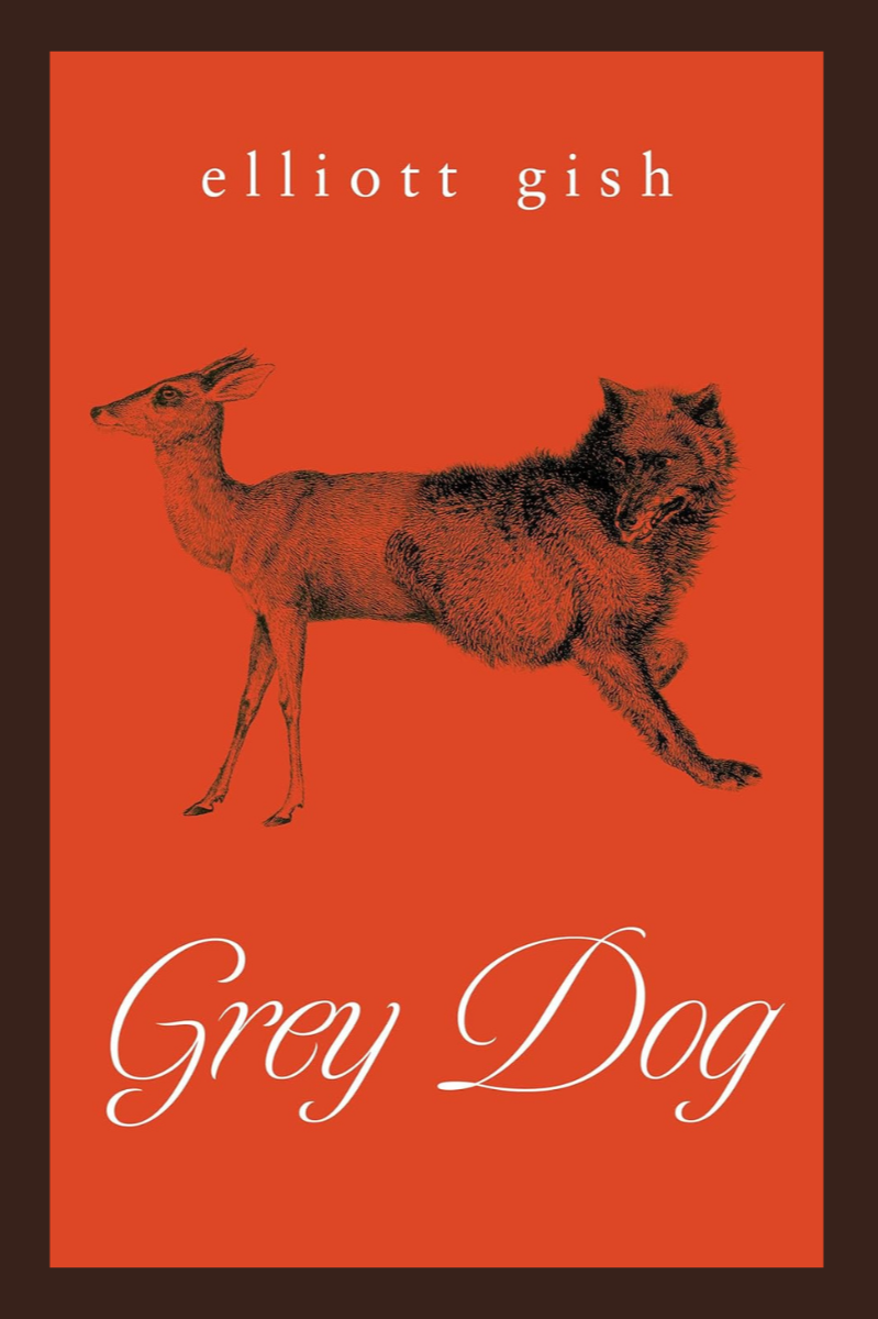 Grey Dog  – Elliott Gish