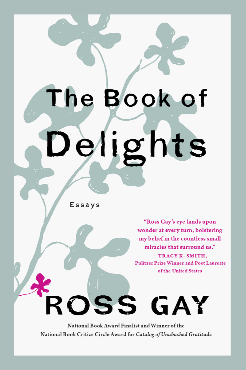 The Book of Delights  – Ross Gay