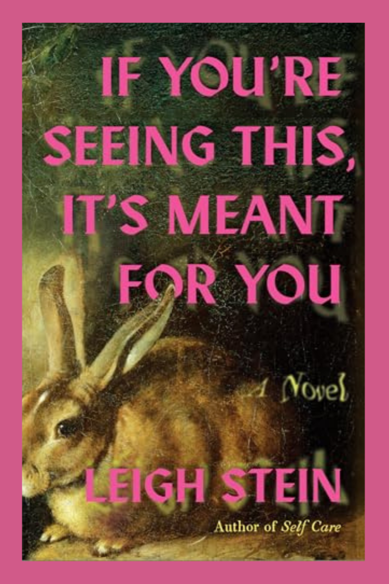 If You’re Seeing This, It’s Meant For You  – Leigh Stein