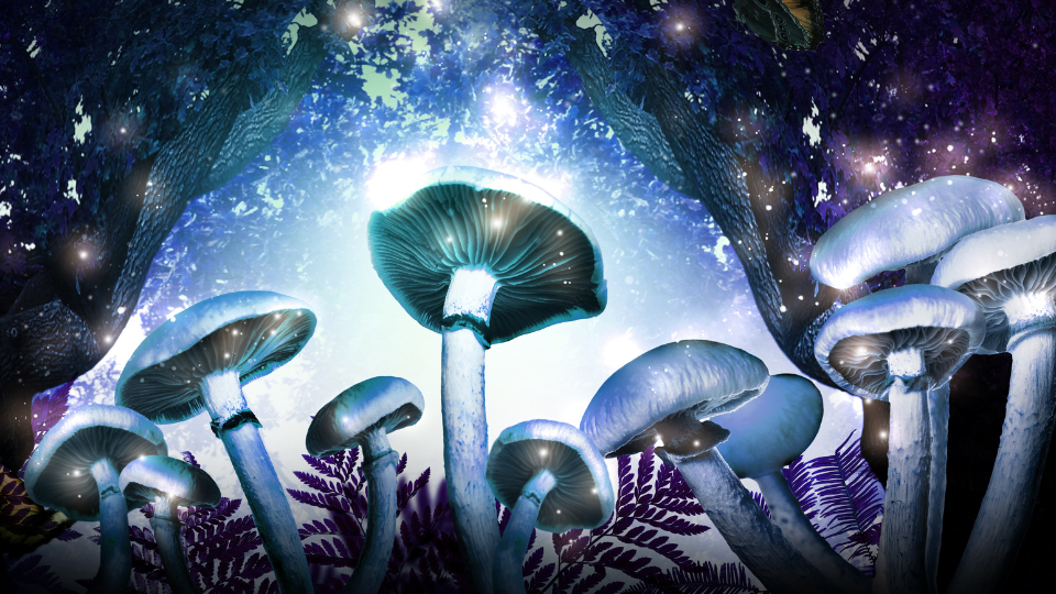 Bioluminescent mushrooms and vibrant purple ferns in a magical forest scene with glowing light