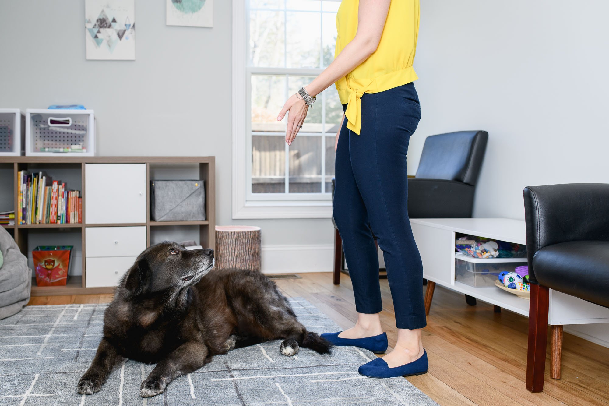 Lindsey working with "Dogtor Ed", a therapy dog who is part of her naturopathic practice. Personal Branding photoshoot in Wilton CT by N. Lalor Photography.