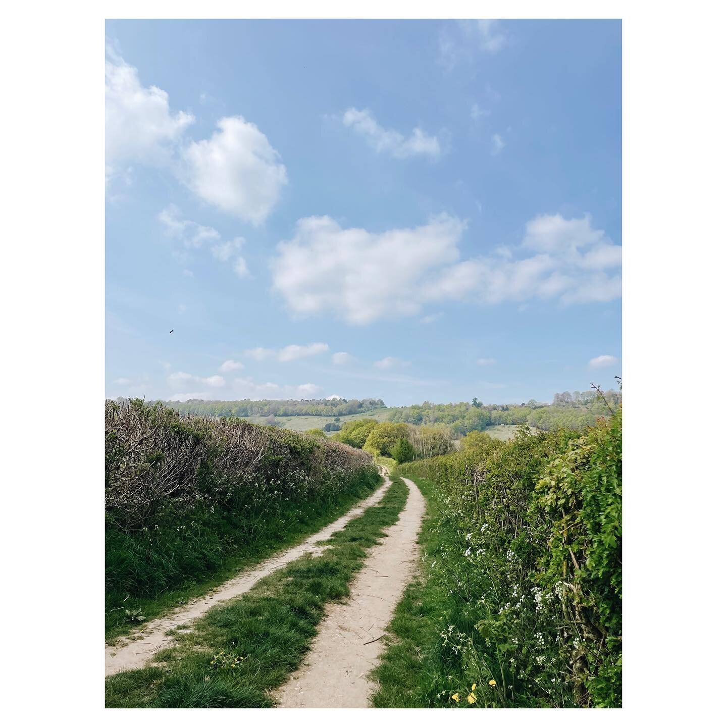 Spring-ing 🌱🐾🌼
&bull;
&bull;
&bull;
&bull;
#therelief #weloveyou #spring #surreyhills #countryside #outsideisfree #surrey #landscape #views #nature #family