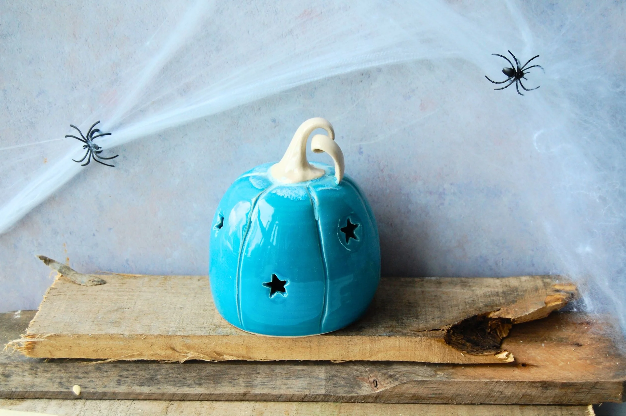 Atlantic Coast Pumpkin