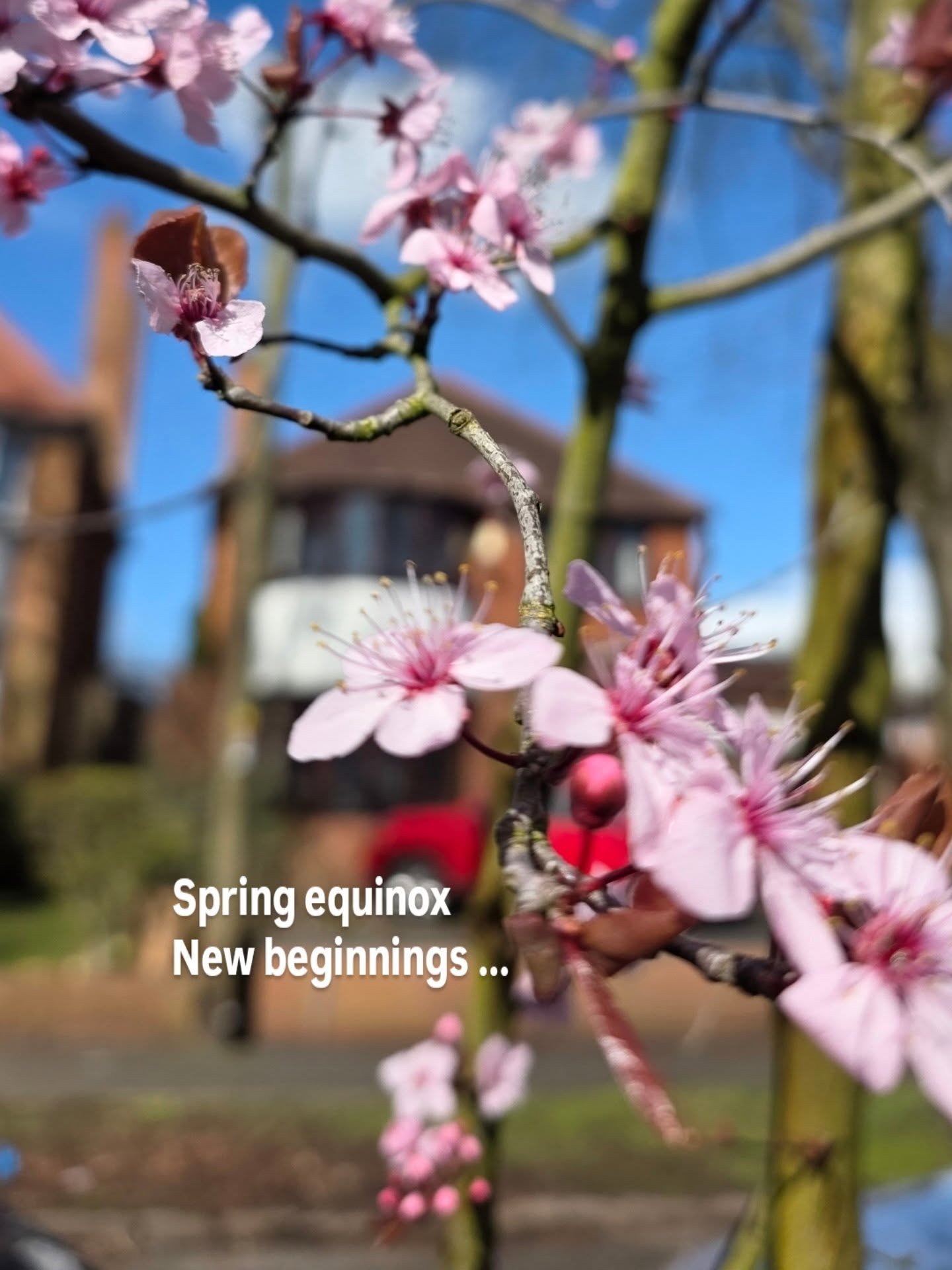 A season change, new light and celebrations.
Renewal as the sun crosses the equator to a point of equal day and night

A new astrological year
Eid
Aries fire 
Persian new year
Chaitra Navratri

Namaste Devi 🙏🔱🕉

Cosmic stairways and most of all lo