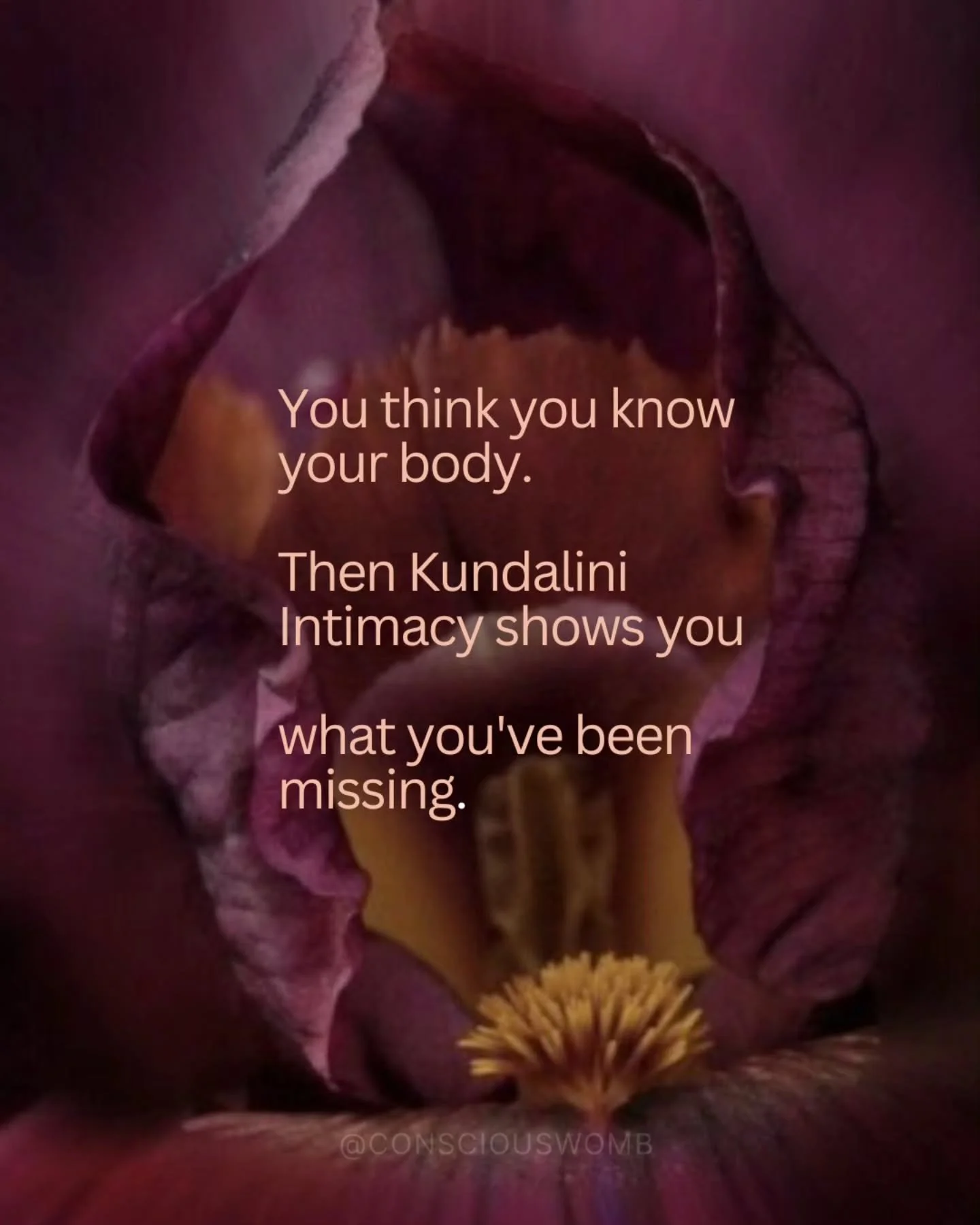Using Kundalini Magnetic Resonance Therapy &reg; 
Kundalini Int1macy Journeys are meditative somatic experiences leading you into a deeper experience of life.

It opens and guides you to feel a sense of freedom. A space you have never felt before or 