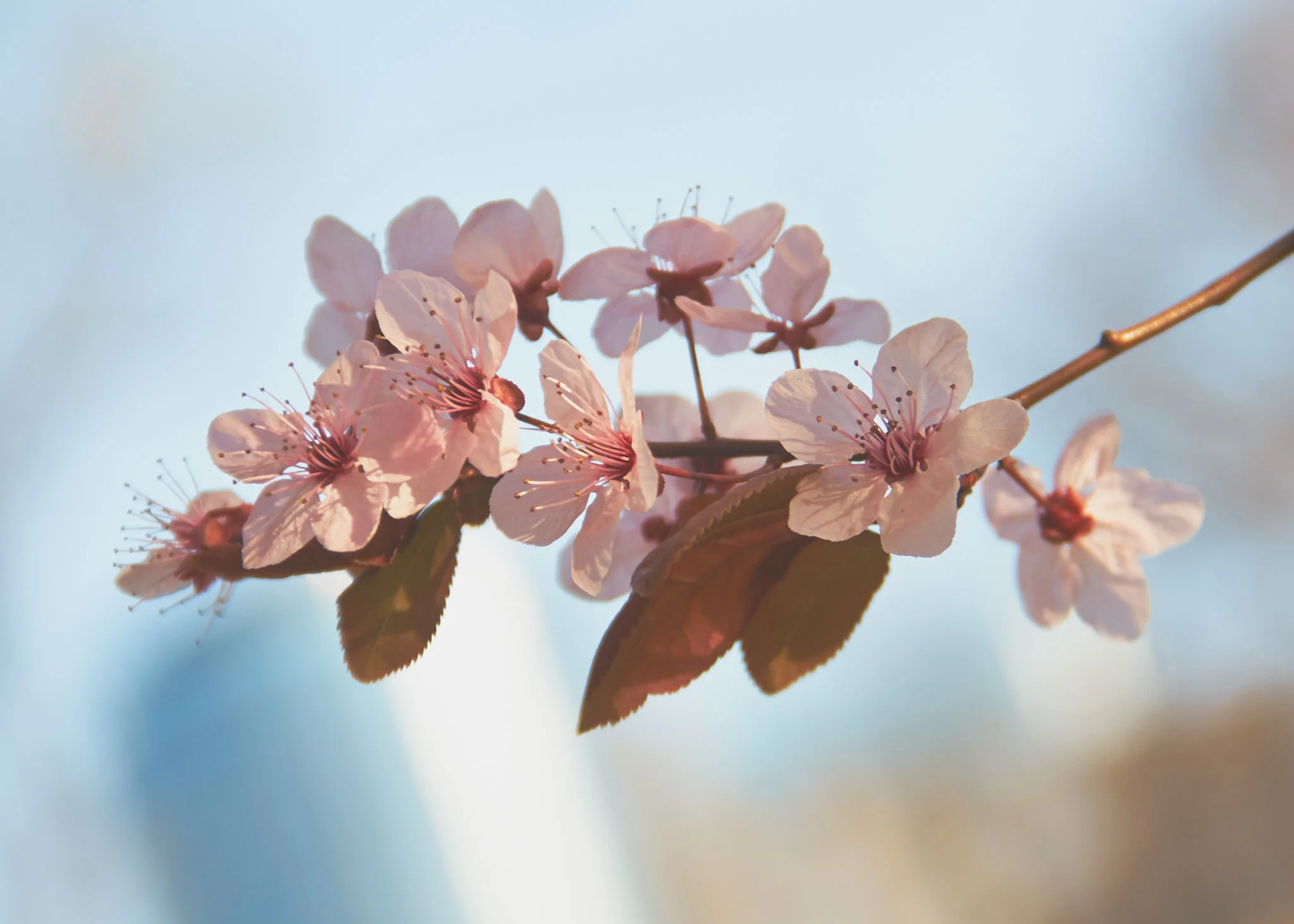 Difference in editing workflows