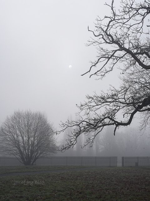 January Blues and Consolations