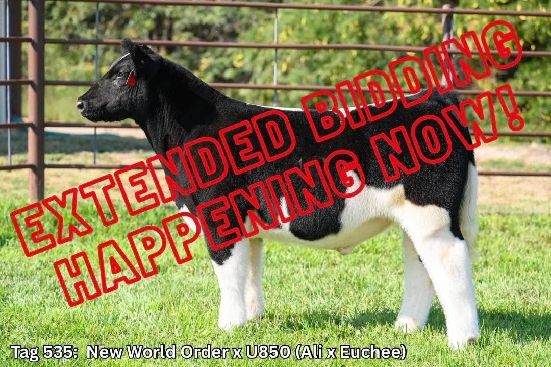 🚨WE ARE NOW IN EXTENDED BIDDING!🚨
🔗 https://www.sconlinesales.com/Bids/AuctionsListing/39457 🔗