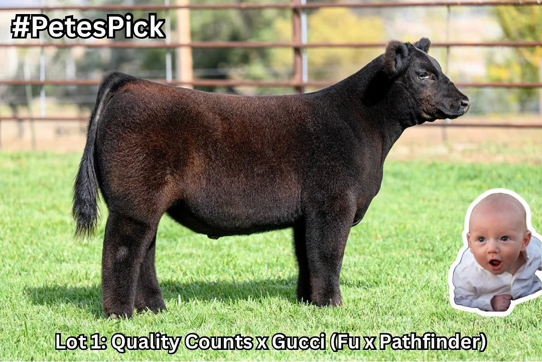 Friendly reminder that #PetesPick sells TOMORROW (October 23rd) on SCO!
π PD: 307-575-9472
π LINK IN BIO π