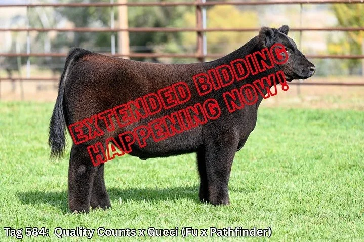 βΌοΈWE ARE IN EXTENDED BIDDINGβΌοΈ
π LINK IN BIO π