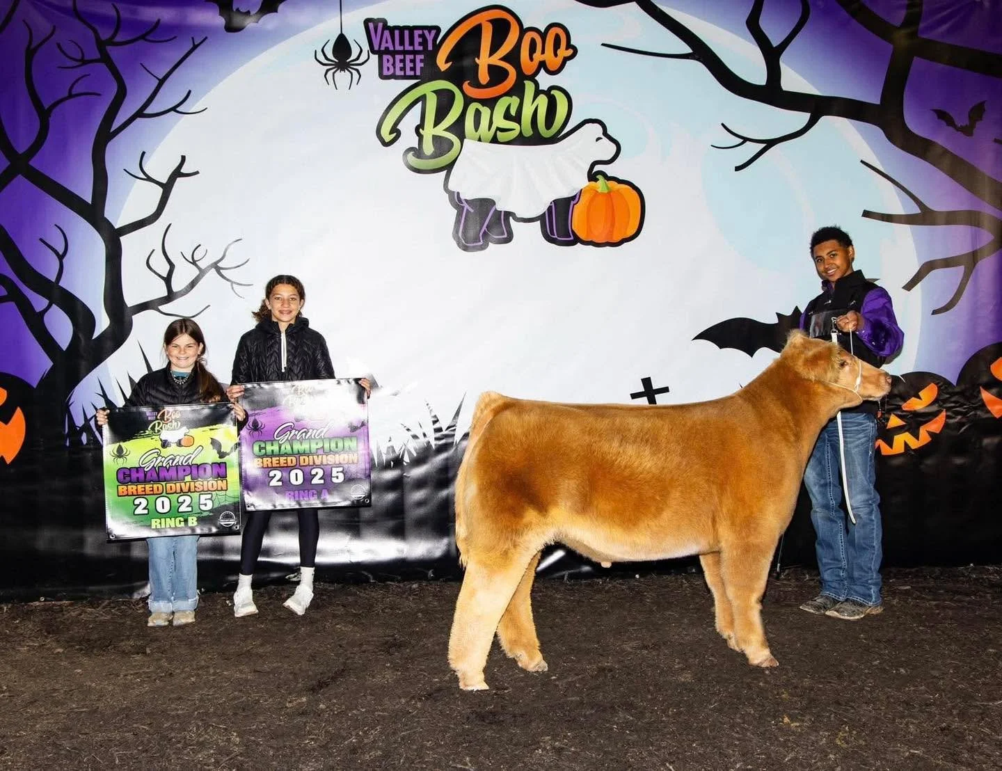We’re already seeing backdrops rolling in from this years sale calves and boy does it make us excited for what’s in store! 
🏆 Congratulations LeBron Roden
Valley Beef Boo Bash
Champion Charolais Composite Steer 
(Both Rings)
Sold by Wil
