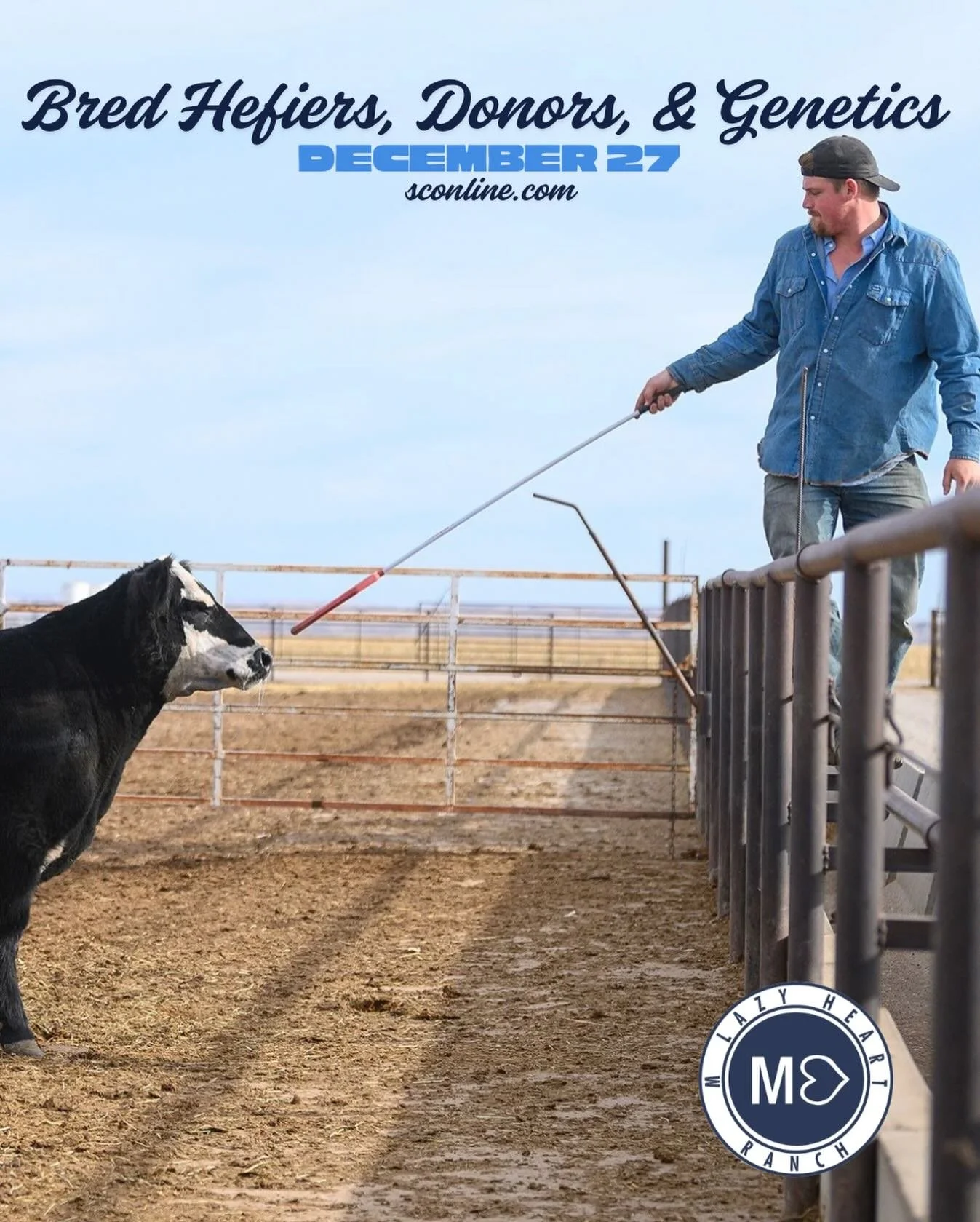 🗓️Mark your calendars: December 27 on SC Online! 

We are offering some ELITE Donors, some bad to the bone breds, and some of our best genetic inventory. 

Keep an eye on our socials and PD&rsquo;s Snapchat (@PDMiller307) for sneak peeks as we pictu