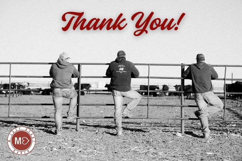 Thank you to everyone who helped make our Bred Heifer &amp; Genetics Sale such a success! We are incredibly grateful for the bidders, buyers, consignors, and crew who put their time and trust into this sale.

We&rsquo;re especially excited to share t