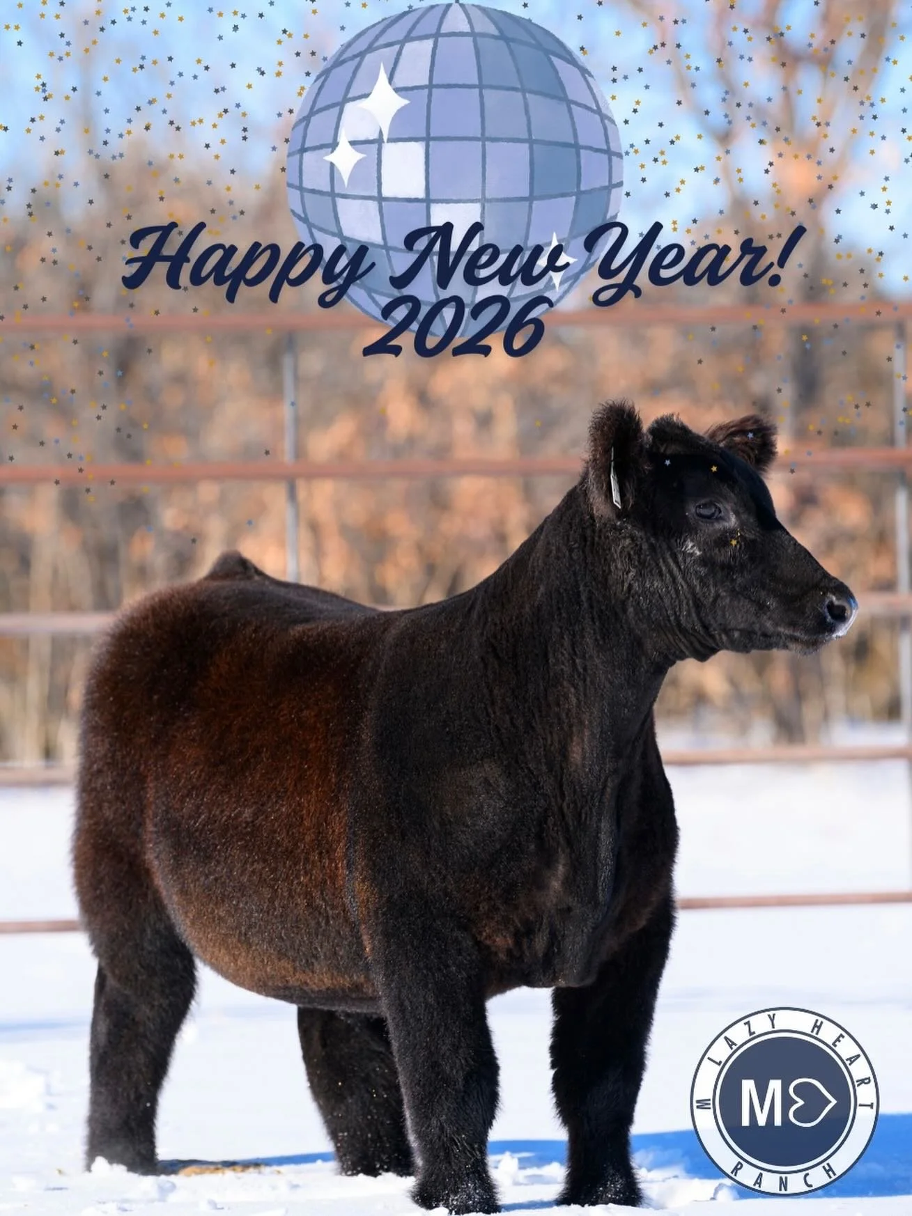 🪩Happy New Year🪩

As we head into 2026 we&rsquo;re grateful for another year of hard work, healthy cattle, and amazing folks who support what we do. Here&rsquo;s to fresh starts, full pastures, and a great year ahead! 

Thank you for being part of 