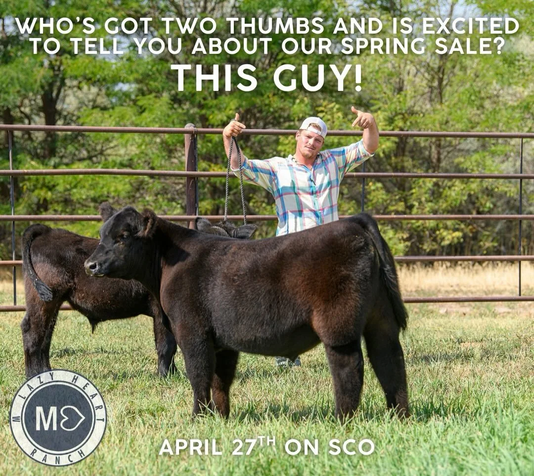 Who&rsquo;s got two thumbs and is fired up for our Spring Sale?! 👍👍 THIS GUY. And we don&rsquo;t blame him.

We&rsquo;ve got a strong set coming your way, and we can&rsquo;t wait to get them in front of you. We&rsquo;ll be rolling out more previews