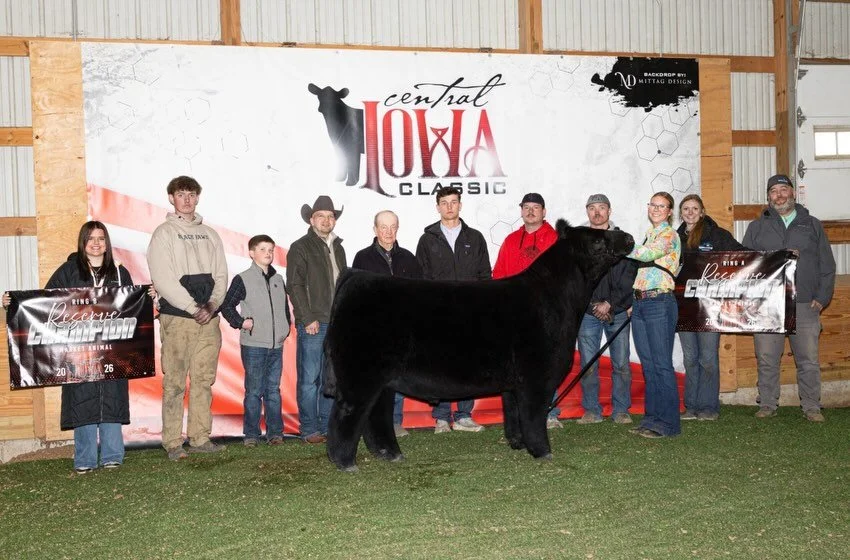 BIG SUCCESSES COMING OUT OF IOWA

🏆 Congratulations Chloe Rogers!
This steer has been in the Top 5 at 9 out of the 10 shows she&rsquo;s taken him to. We look forward to seeing continued success from these two!
Told Ya So x Gucci (Fu Man Chu)
Sold of