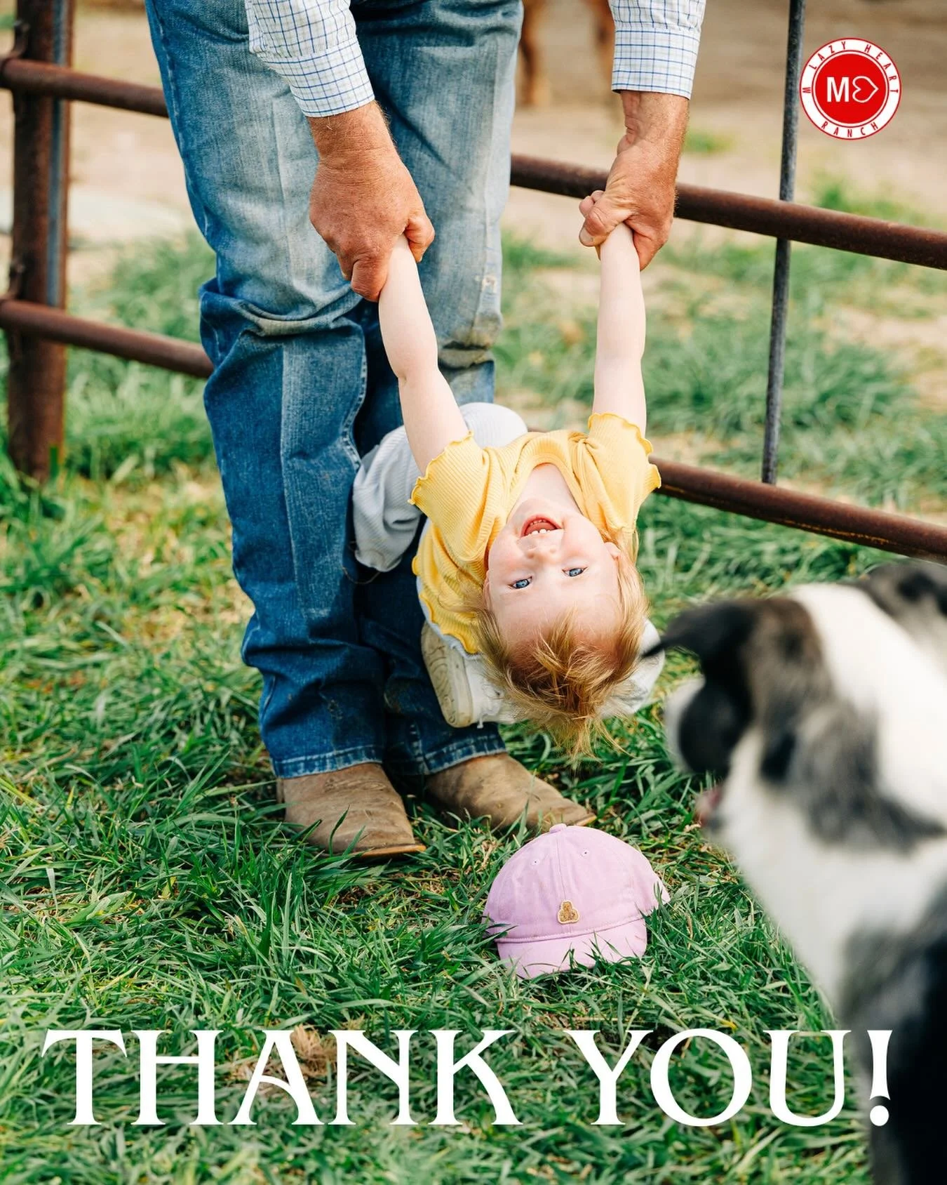 THANK YOU to all of those involved in our Spring Sale last night! We are incredibly grateful for the overwhelming support and trust you invest in our operation. 

To our buyers, we&rsquo;re excited to watch these cattle and genetics go to work for yo