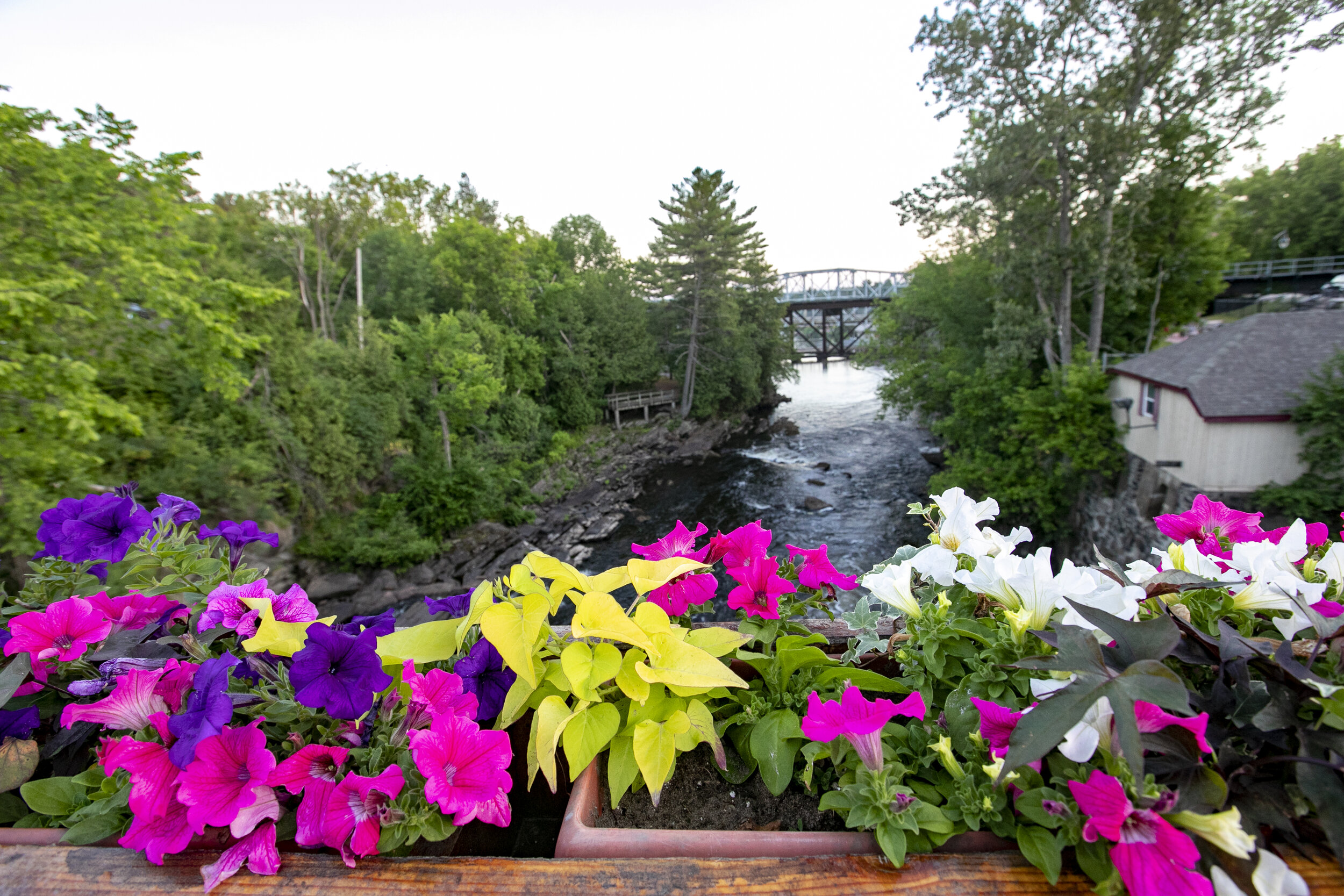 Bracebridge Hotels + Motels — Visit THE BRIDGE