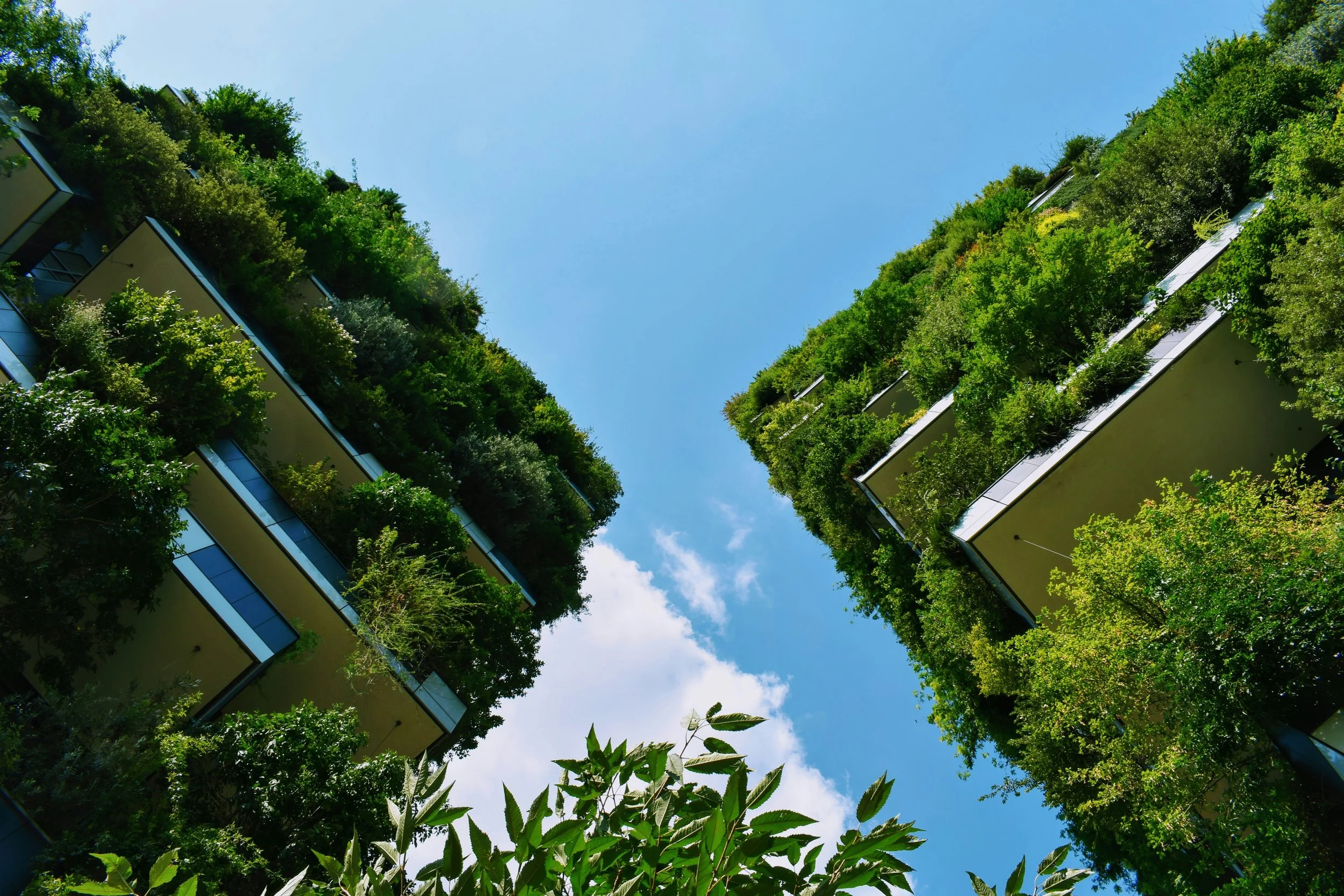 Designing the Next Generation of Sustainable Vertical Cities