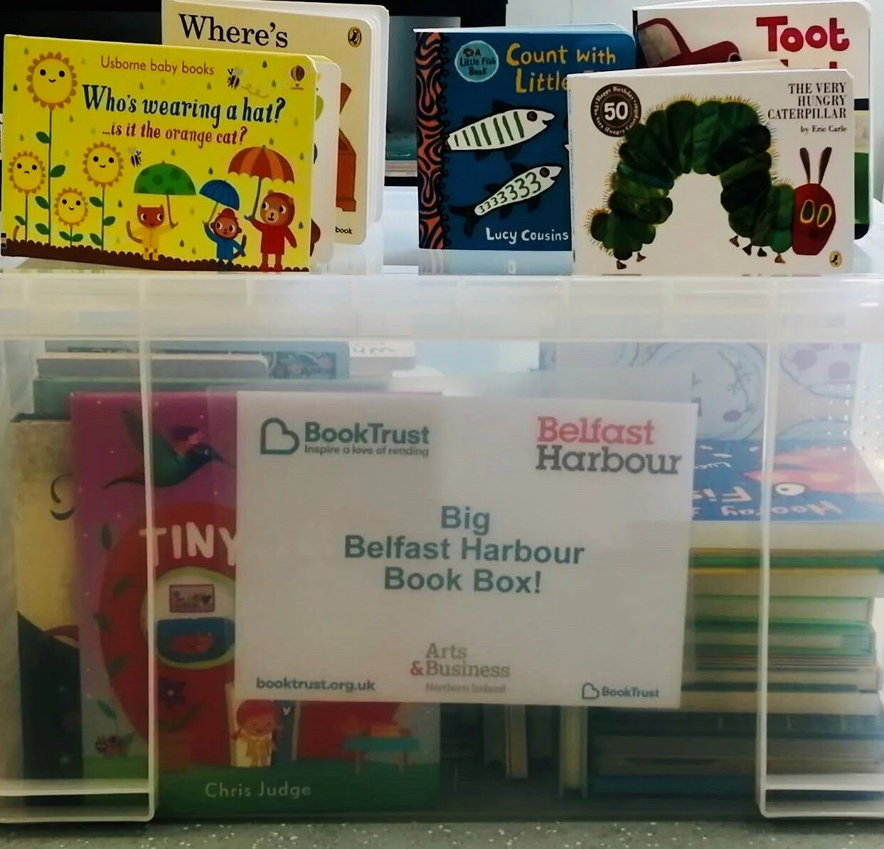 Big Belfast Harbour Book Box.jpg