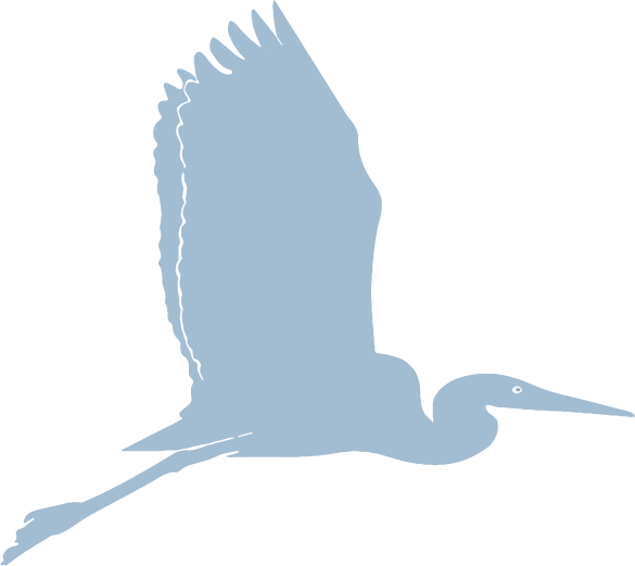 ISLAND HERON YOGA
