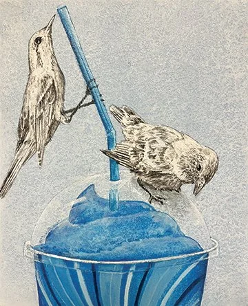 (Cerulean Warbler)_WEB-low-resjpg.jpg