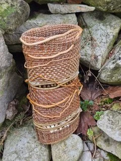 20260404_163536.jpeg