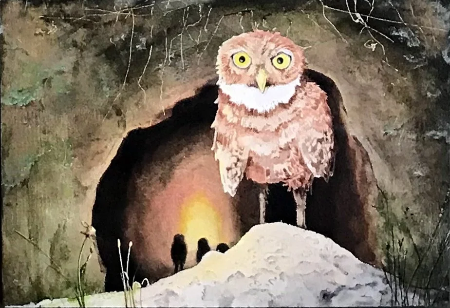 (burrowing owl)