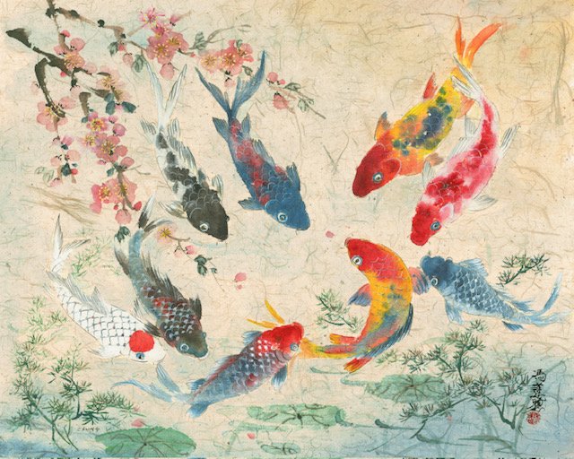 9 Koi of Springtime.jpg