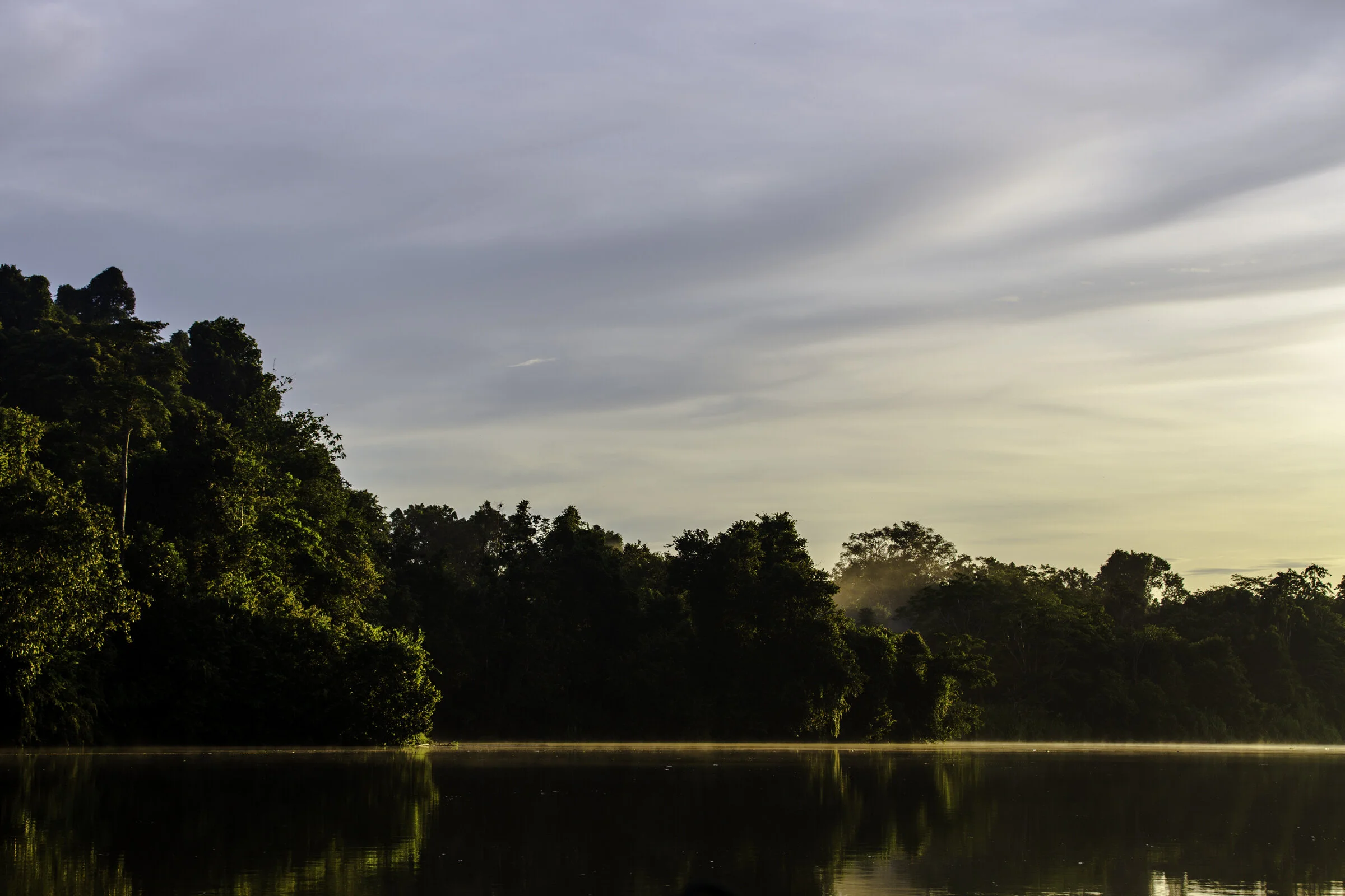 Malaysia - Kinabatangan River
