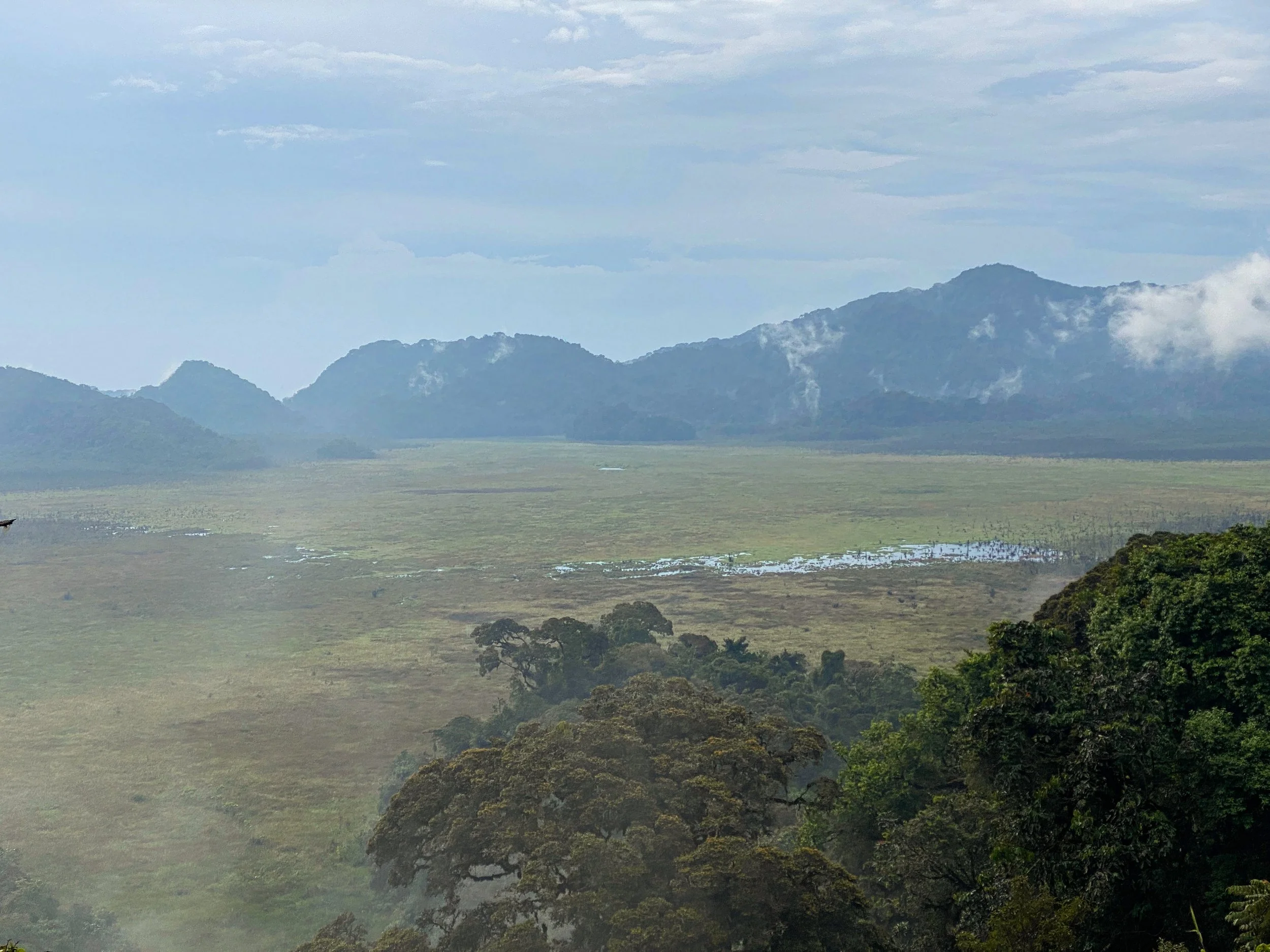 Kamiranzovu Swamp, Rwanda