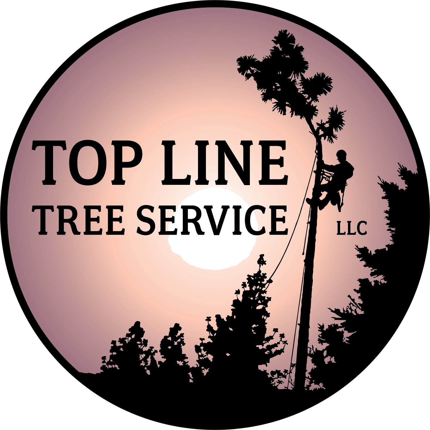 Top Line Tree Service SC