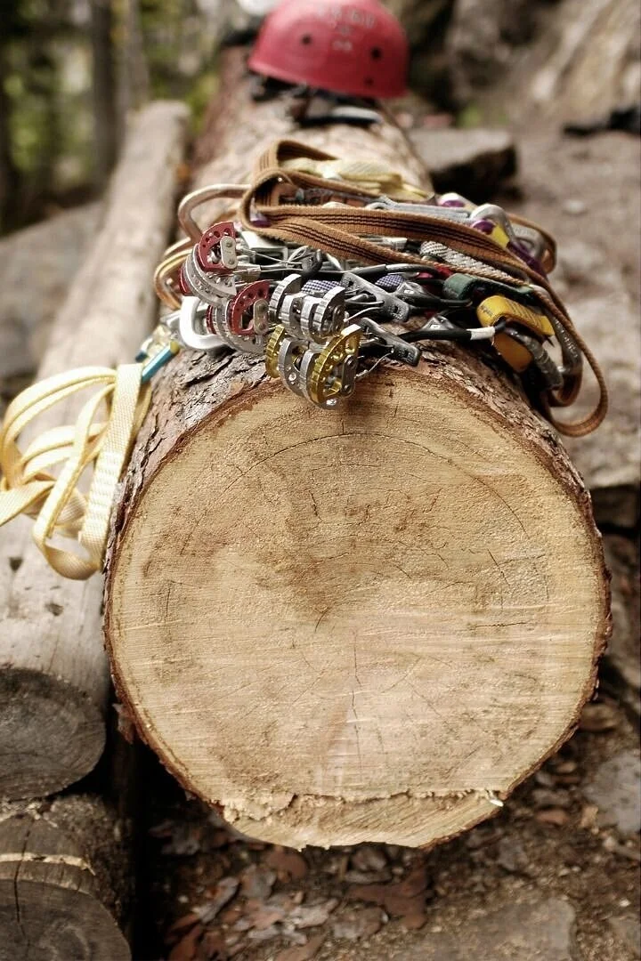 Top Line Tree Service SC