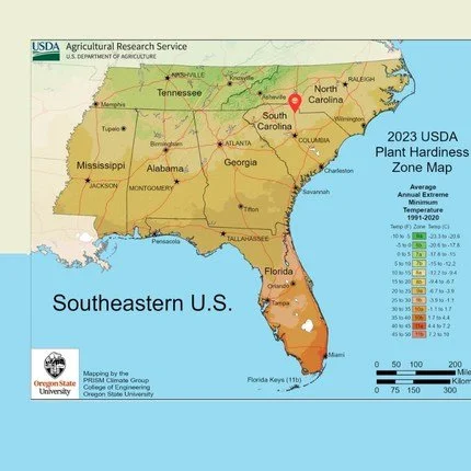 Top Trees that Need Spring Pruning in Zone 8A: York County, SC and Charlotte, NC