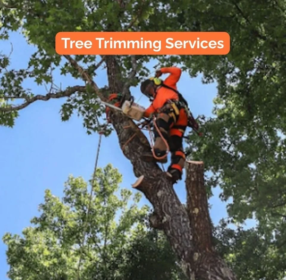 tree trimming fort mill