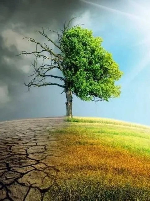 The Earth recovery future environment