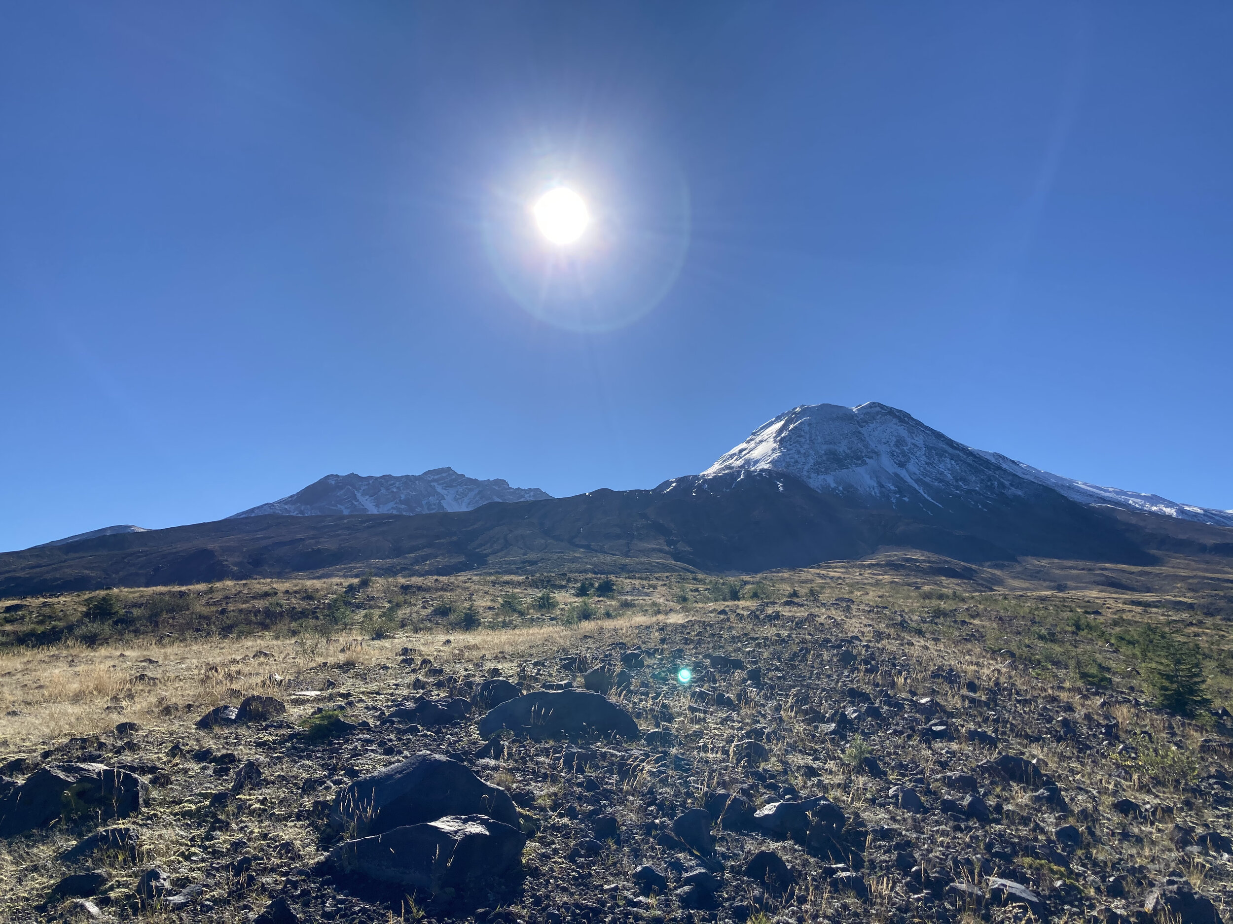 IMG_1905.jpeg