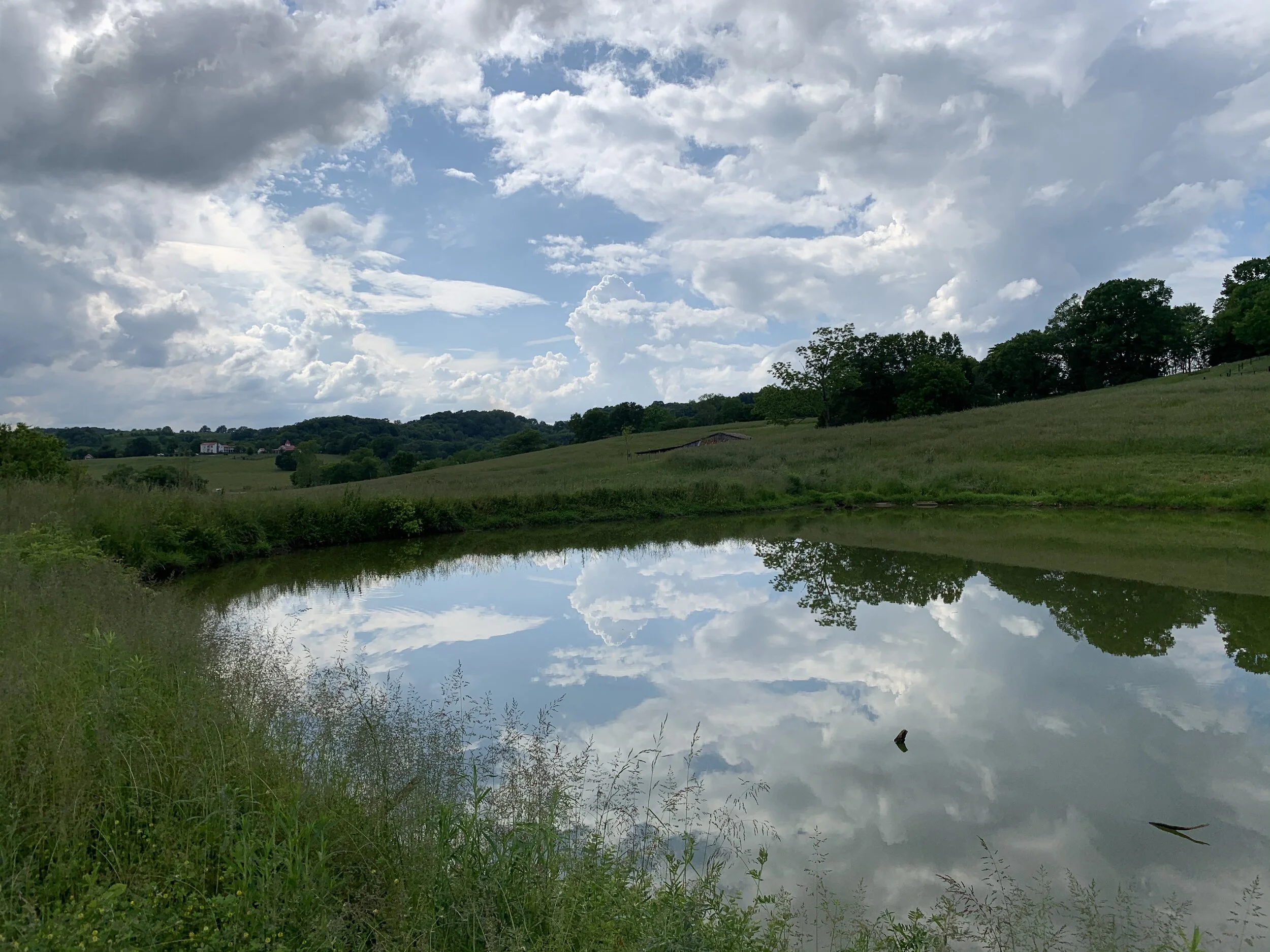 4. Fishing Pond frBrenda.jpeg