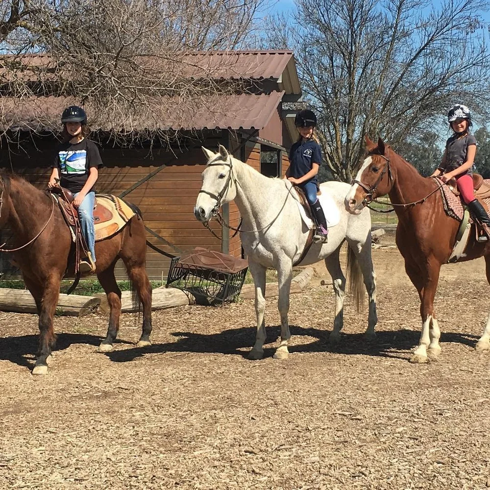 Circle T Ranch