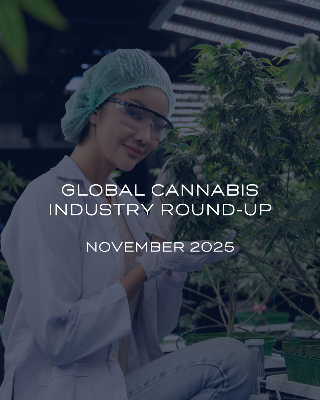 Global Cannabis Industry Round-Up