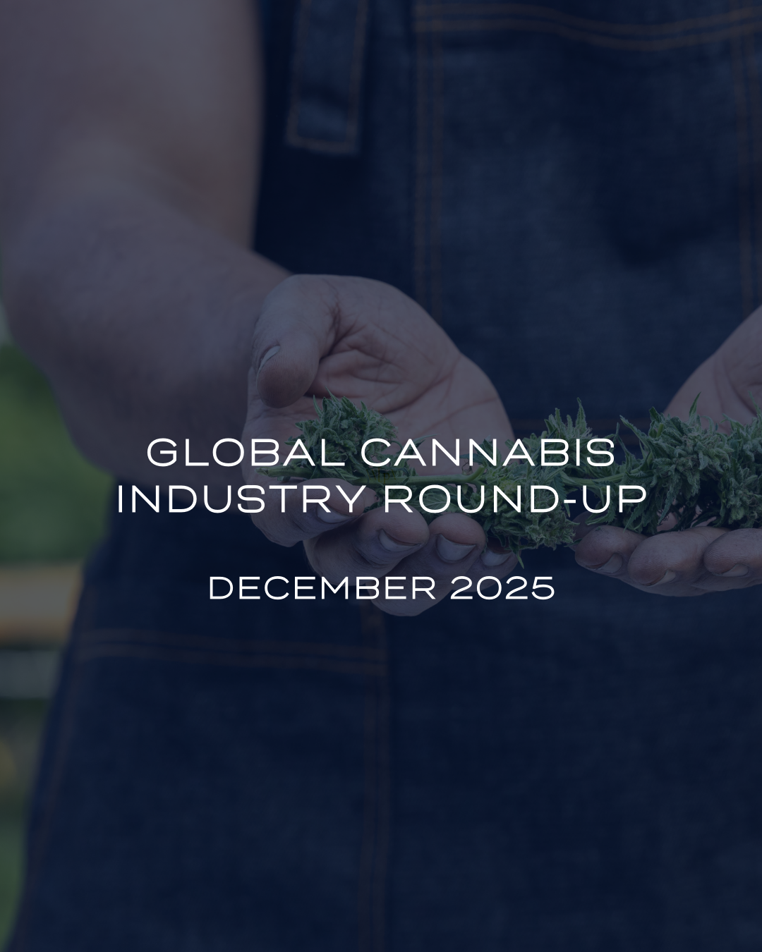 Global Cannabis Industry Round-Up