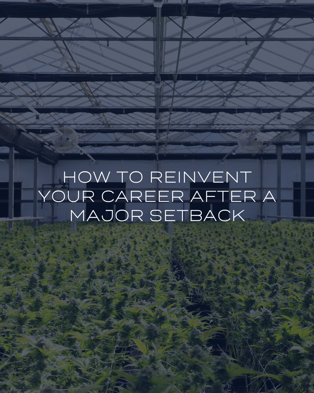 How To Reinvent Your Career After A Major Setback