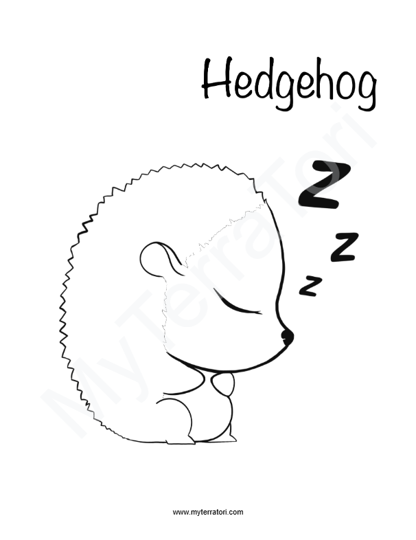 Screenshot 2026-01-07 111538.png