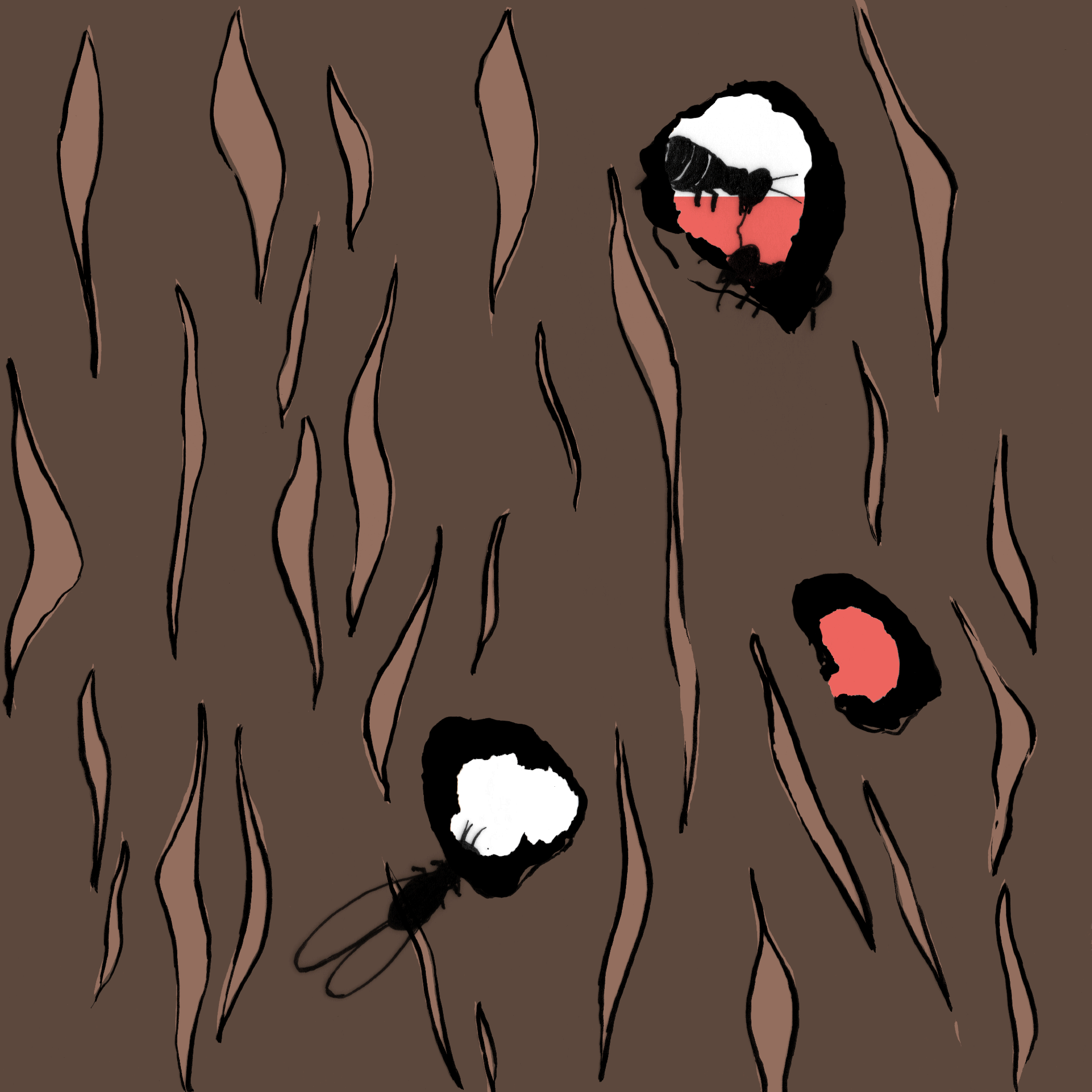 T — Termites