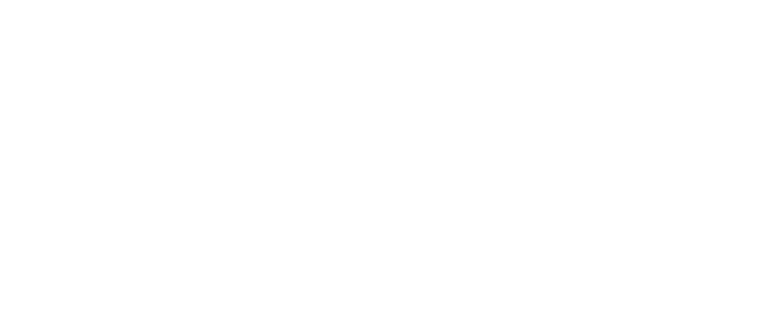 Old 4th Ward Economic Security Task Force