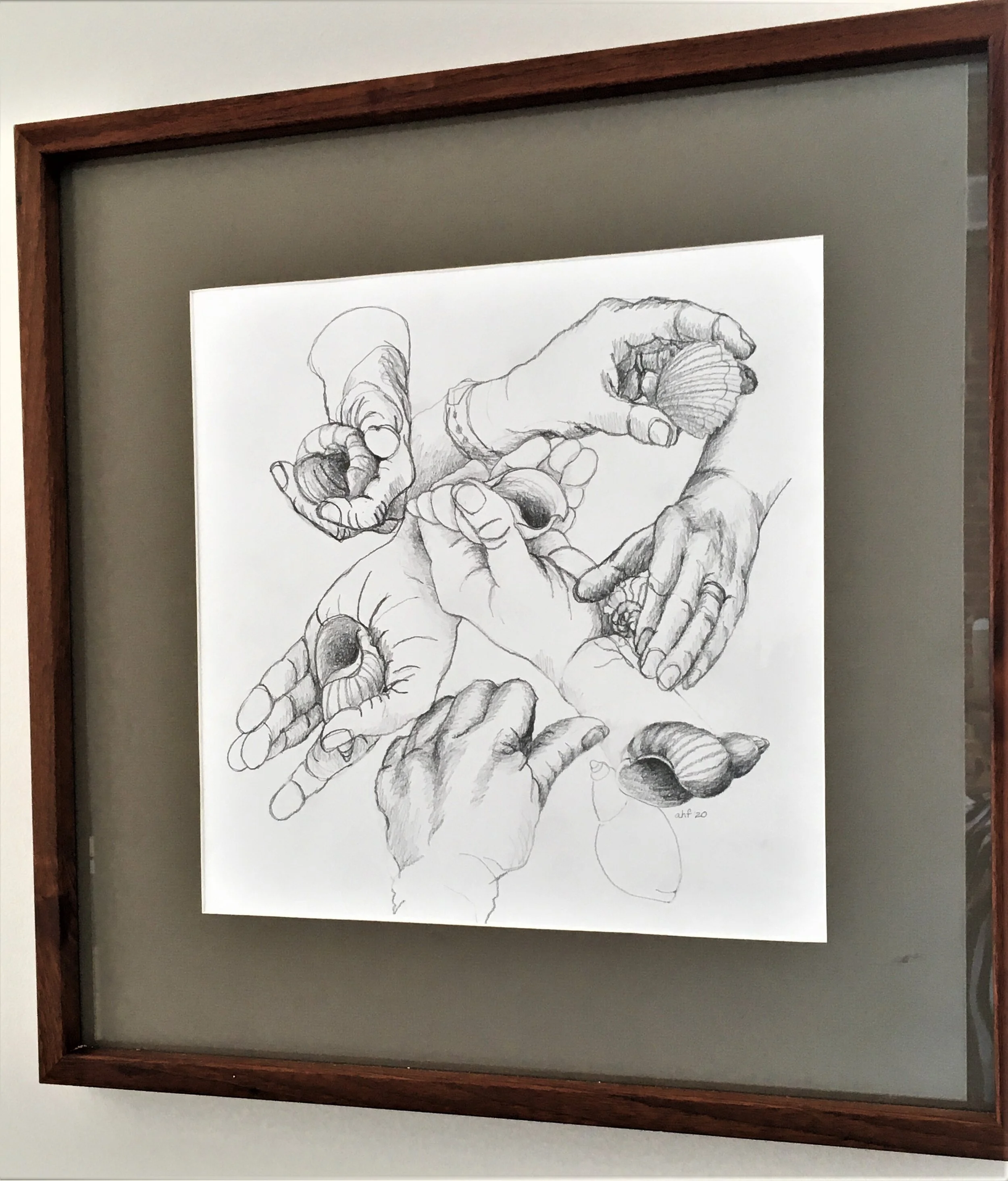 Hand Study - Anne Finucane