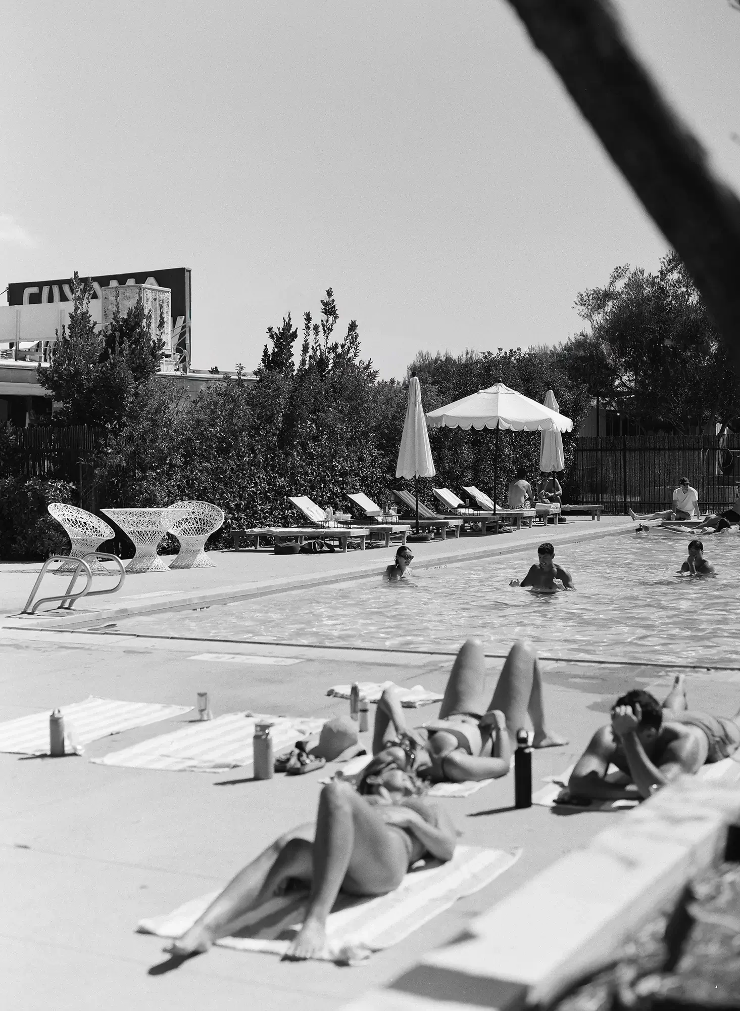 People relaxing on lounge chairs and sunbathing by a swimming pool with umbrellas and trees in the background at Cuyama Buckhorn
