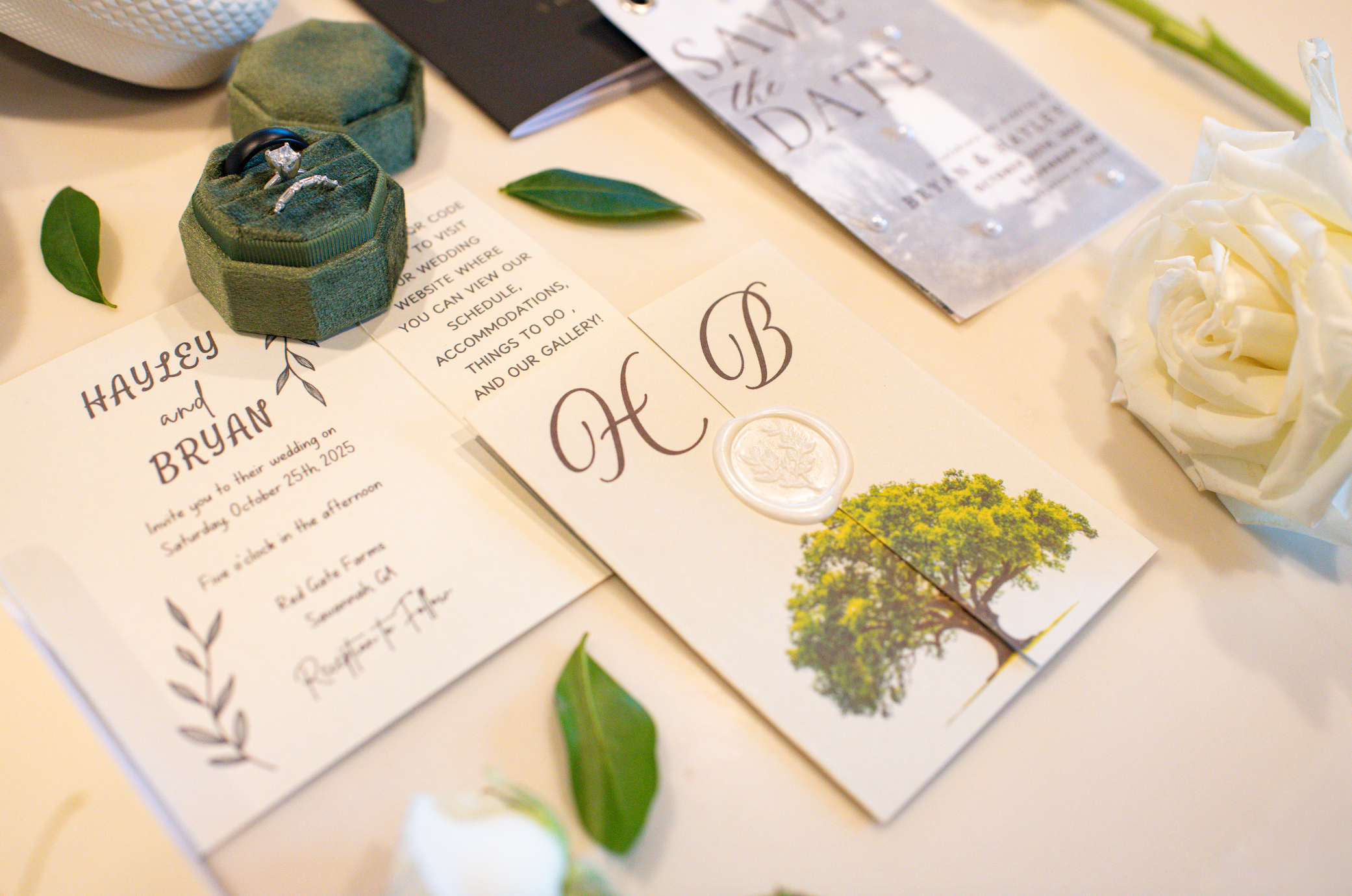 Screenshot 2025-12-04 at 12.00.11 PM.png